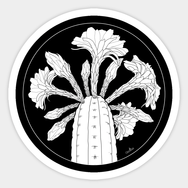 Trichocereus Flowering Spiral Solid Sticker by Cactee